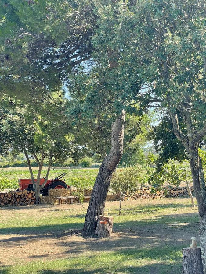 Agriturismo Tenuta Pozzello Torre dell'Orso Buitenkant foto